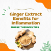 Ginger Extract